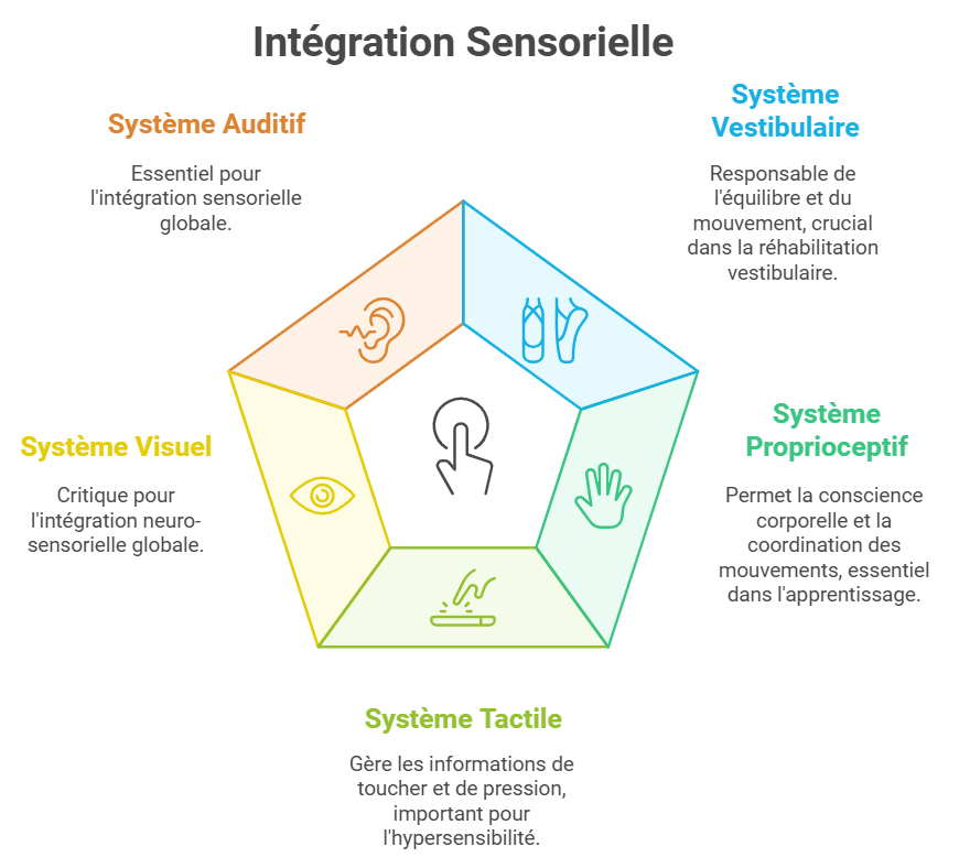 Définition de l’intégration sensorielle