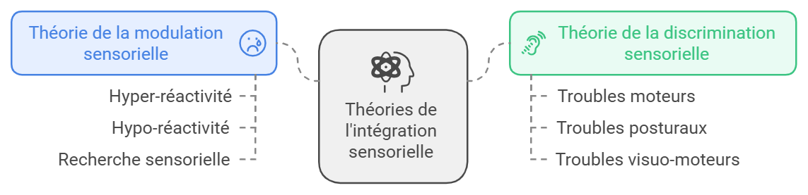 Théories de l'intégration sensorielle